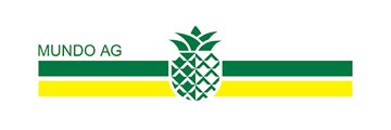 logo-mundo-gelb-gruen-ananas